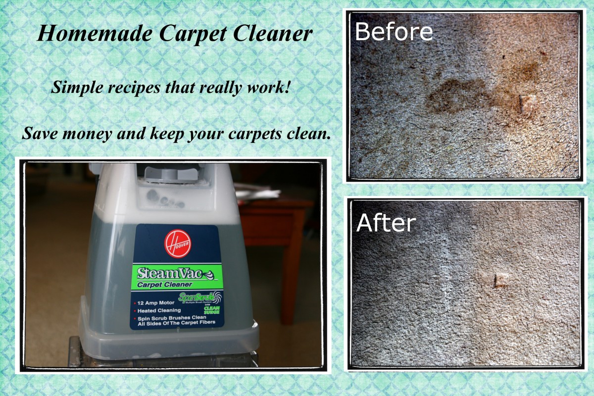 Homemade carpet cleaner for pet urine best sale