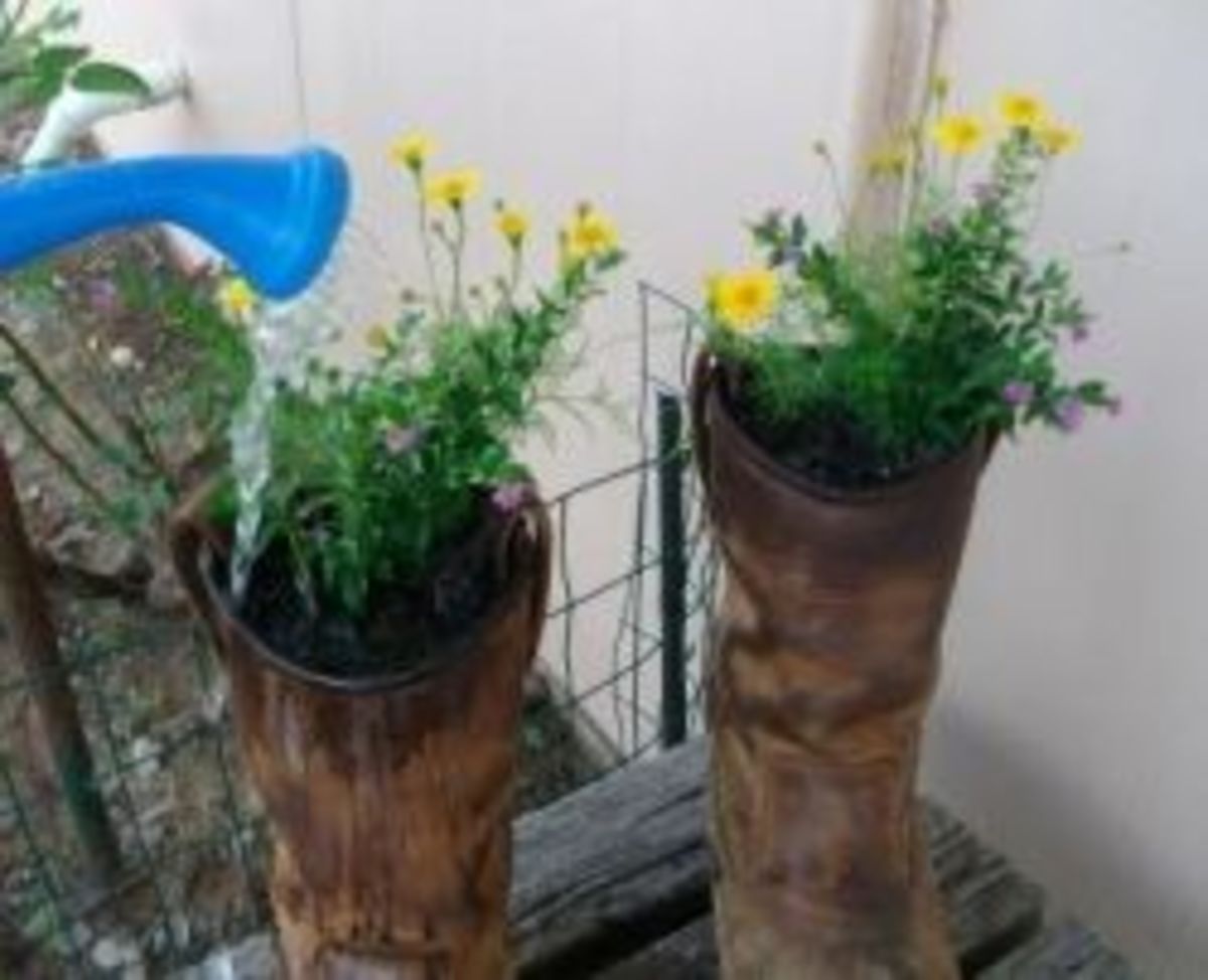 DIY Gardening How to Make a Boot Planter Dengarden