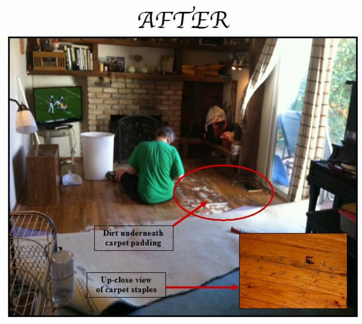 How to Stain a Hardwood Floor in 5 Steps Dengarden