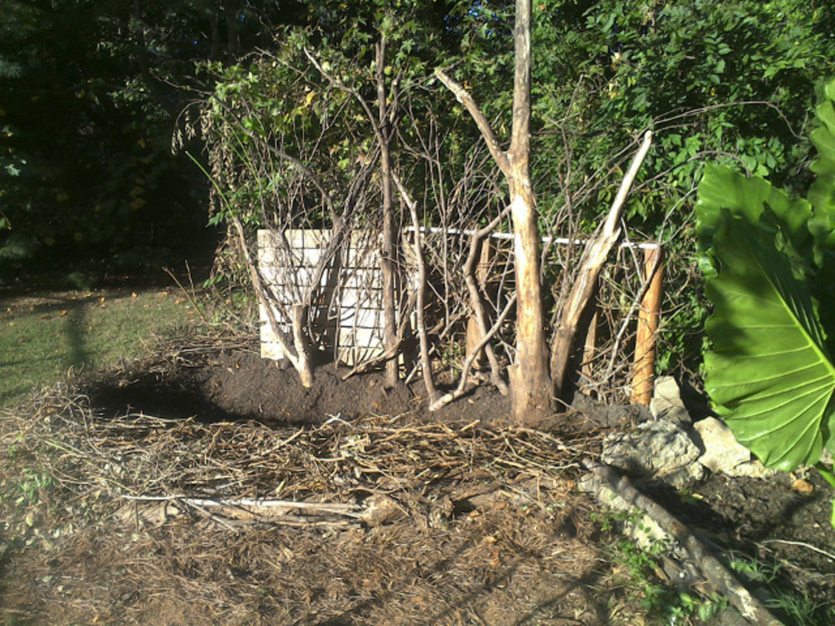 How to Build Natural Raised Garden Beds Using Free Materials Dengarden