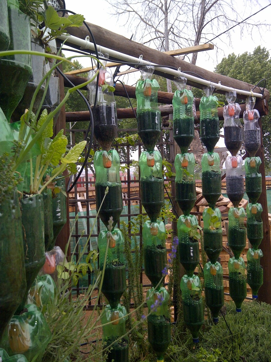 How to Build Your Own Hanging Garden With Plastic Bottles Dengarden