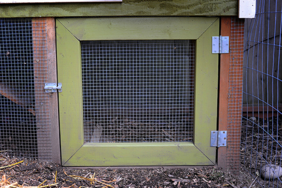 How to Plan a Backyard Chicken House DIY Coops and Accessories Dengarden