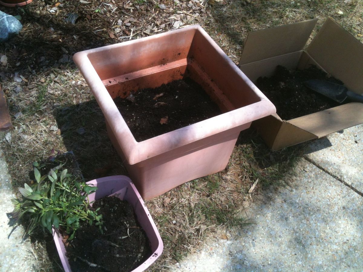 How to Rejuvenate Plastic Plant Pots? With Paint! Dengarden