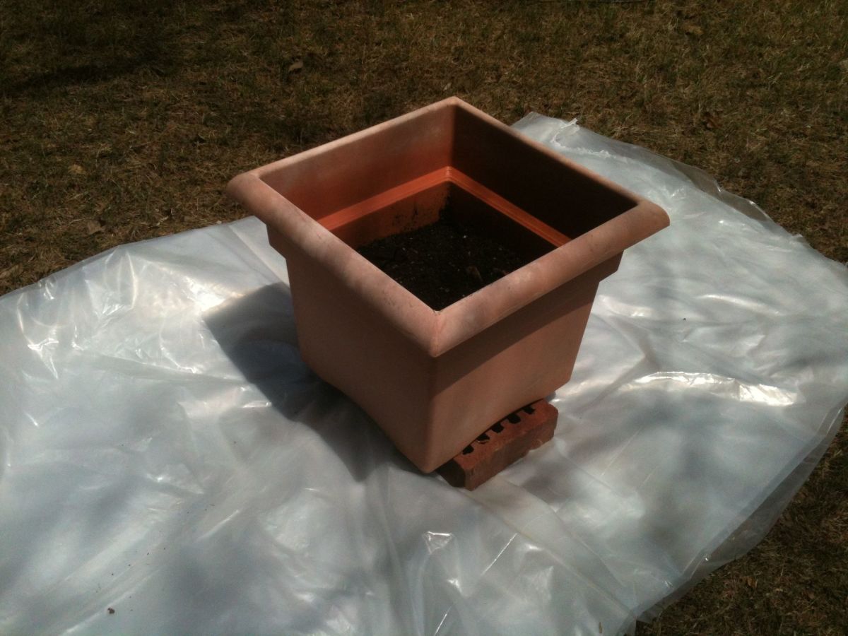 How to Rejuvenate Plastic Plant Pots? With Paint! Dengarden