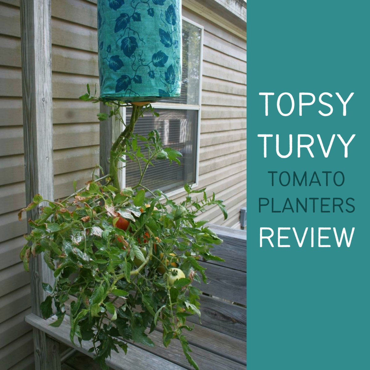 Do UpsideDown Tomato Planters Really Work? Dengarden