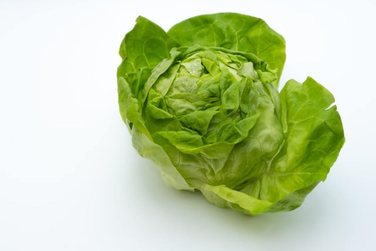 This Hack Removes the Core of a Lettuce Head Easily Dengarden News
