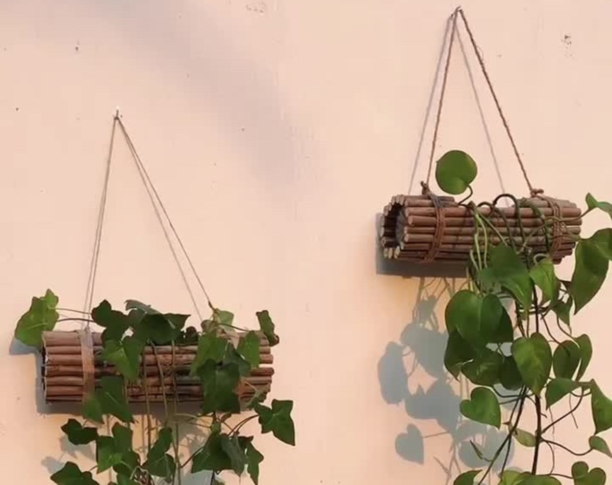 Adding a Little Copper Wire to Your Pothos Plant Goes a Long Way