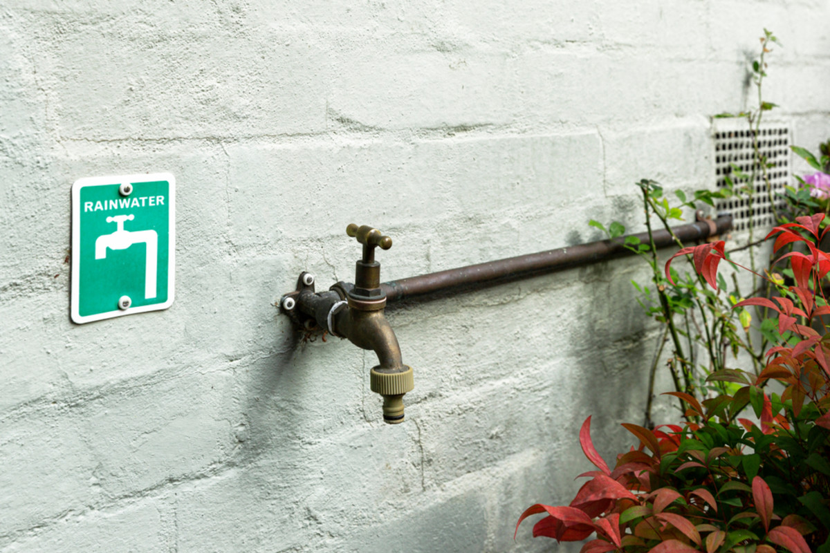 Man Shares Hack For Getting Garden Hoses To Attach To Spouts More   Shutterstock 1526860088 