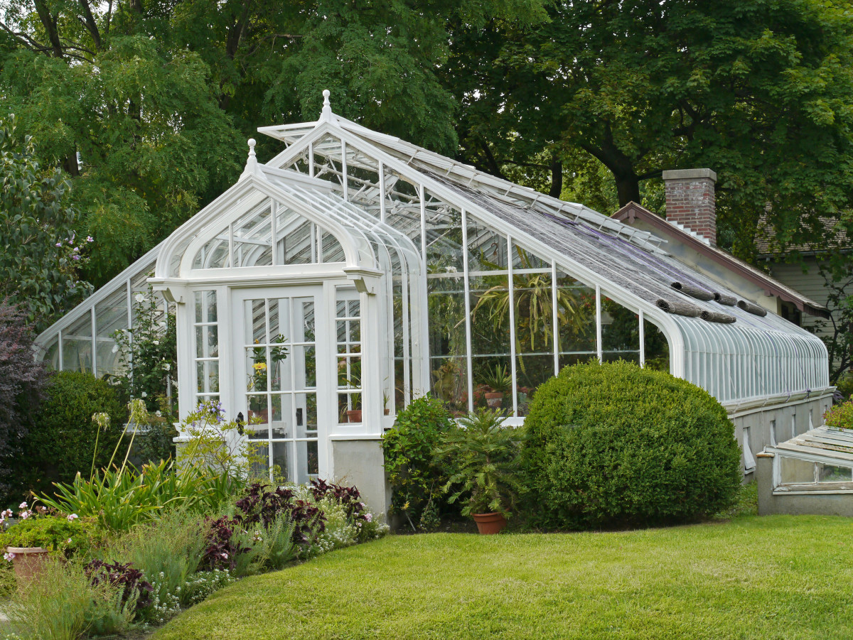 the-viral-costco-greenhouse-is-back-but-there-s-a-slight-catch