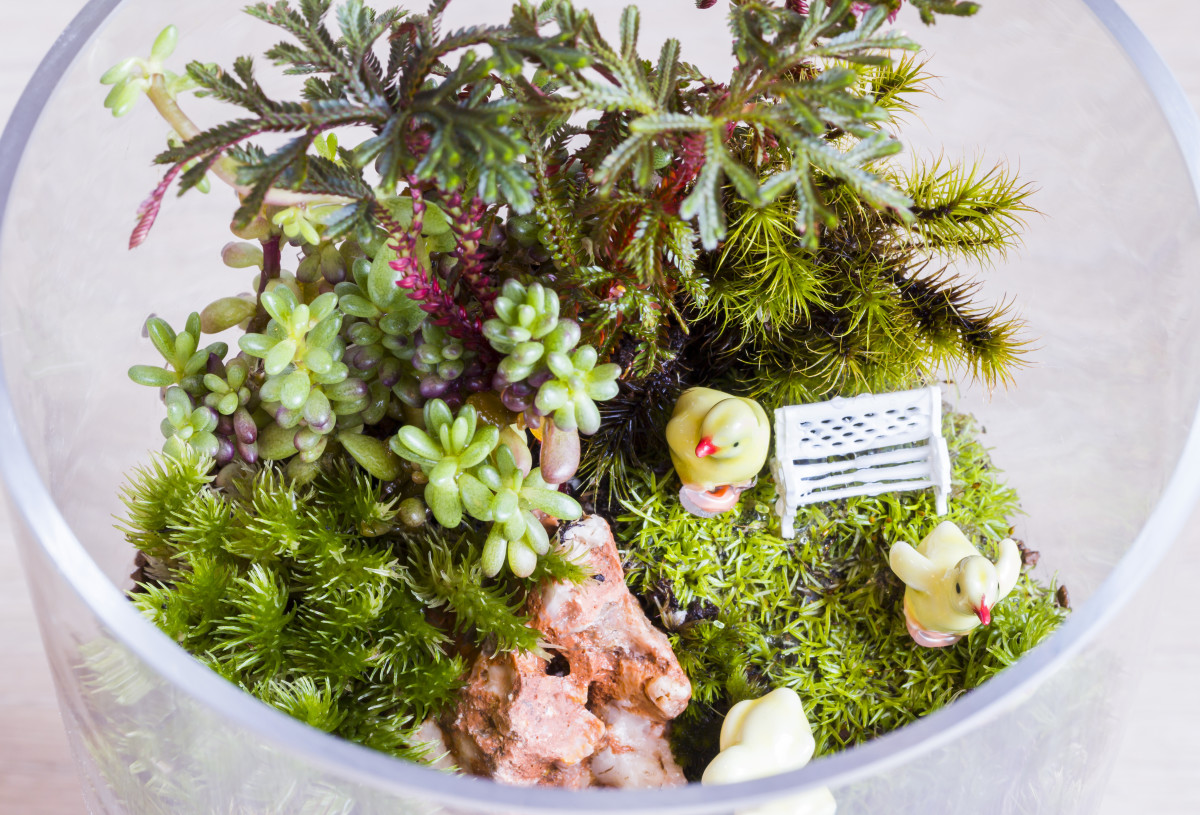 Woman Makes the Cutest DIY Mushroom Fairy Terrarium That Has TikTok