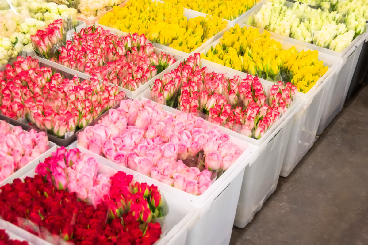 This DIY Dollar Tree Flower Box is More Affordable Than Amazon