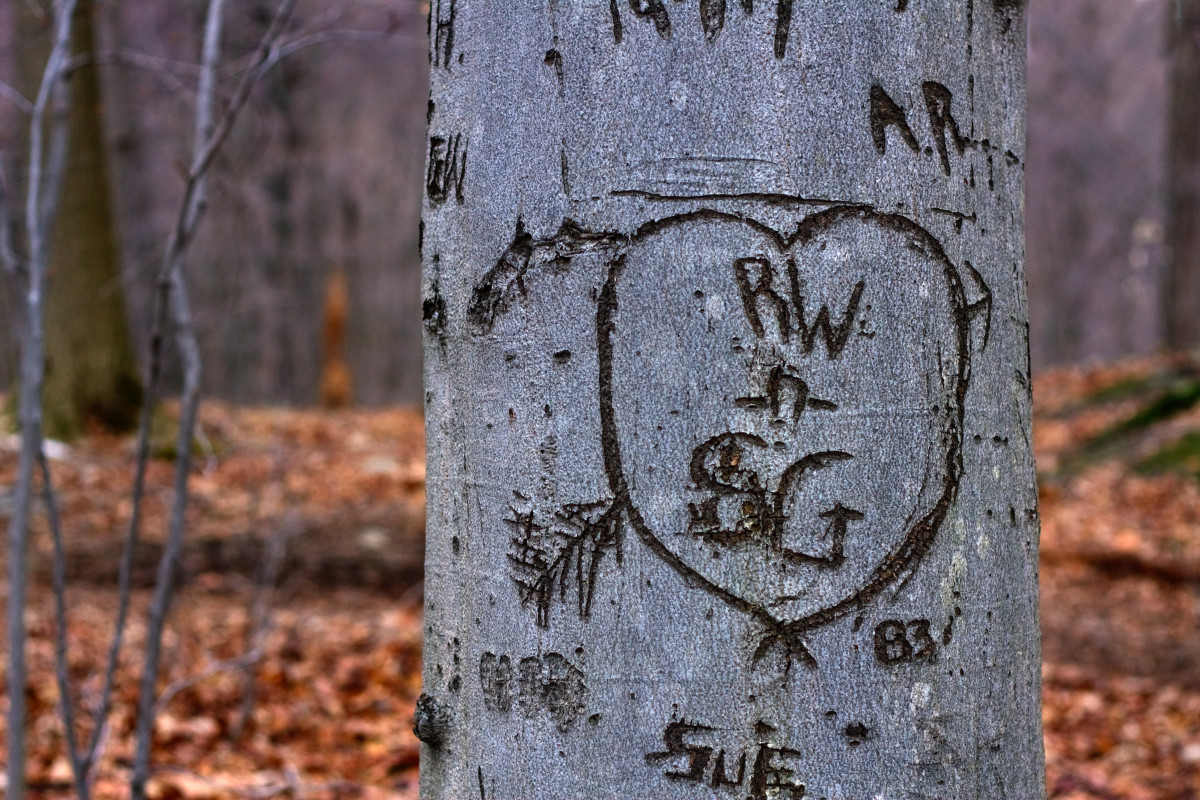 Wife Has Husband ‘Carve’ Their Names Into the Grass and Plants Seeds In ...