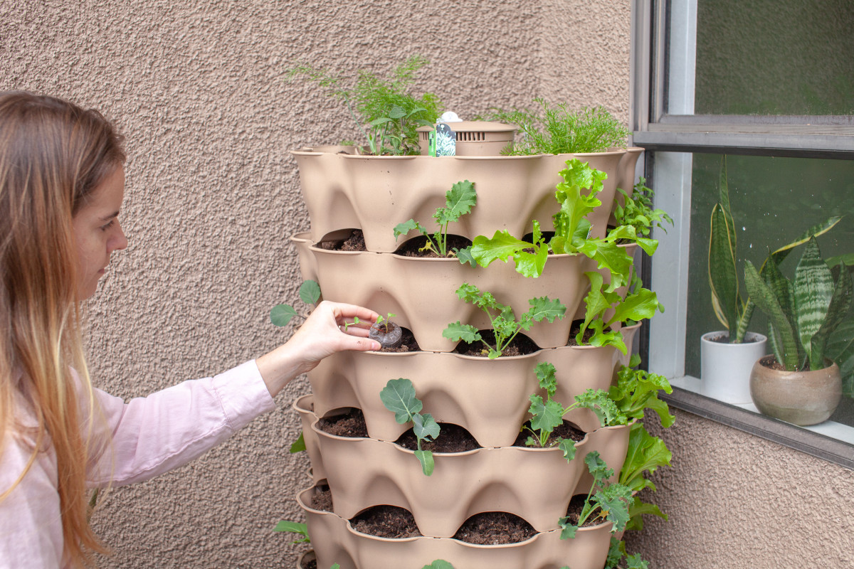 Gardener Shares How to DIY a Vertical Garden With Dollar Tree Planters