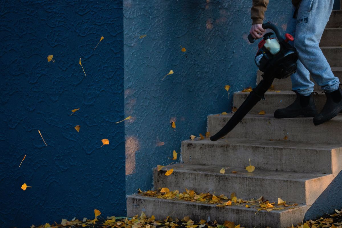 How to Turn off a Blower If the Kill Switch Doesn't Work Dengarden