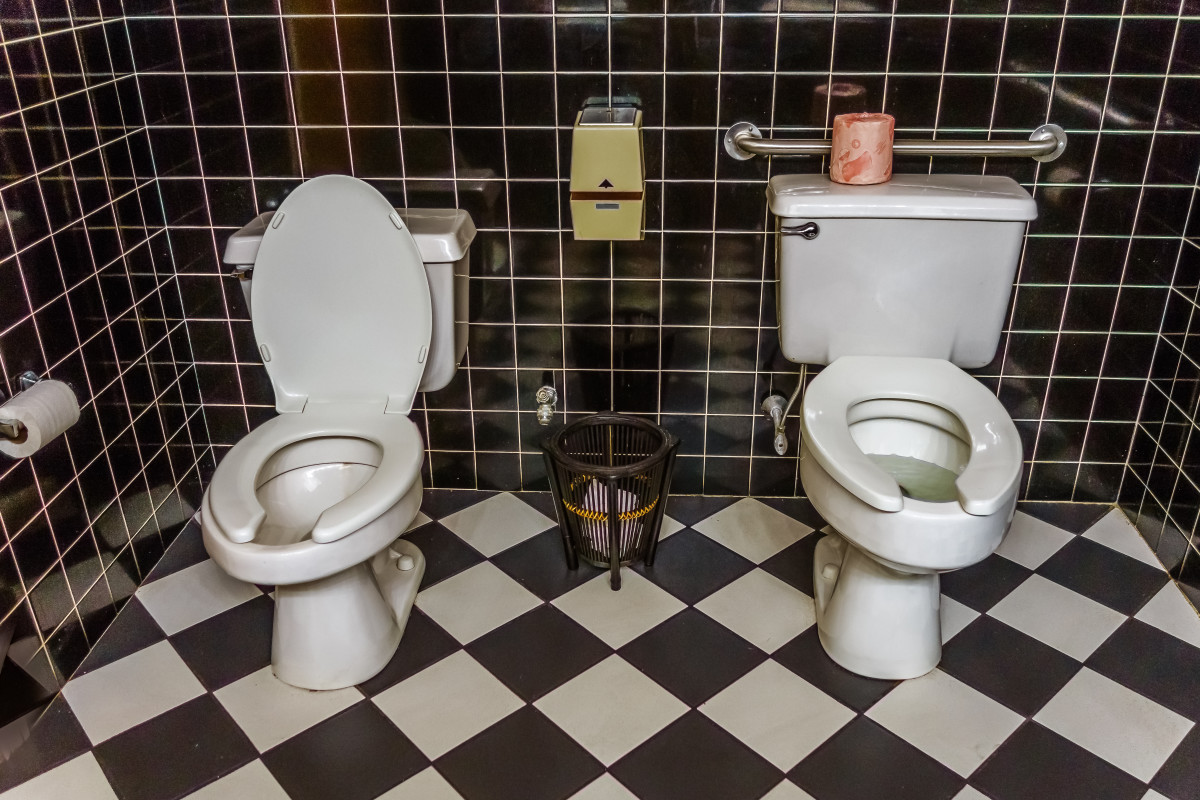 Woman Stumbles Upon House That Has Bathroom With Twin Toilets