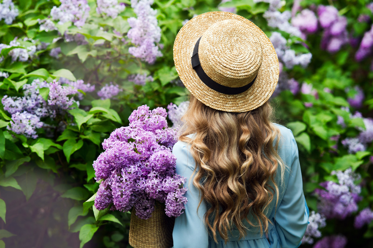 Woman Makes a Strong Case for Planting Lilacs - Dengarden