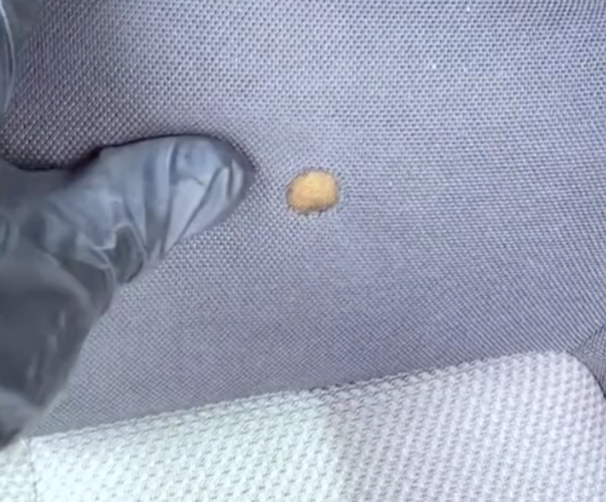 How To Repair Small Hole In Car Seat