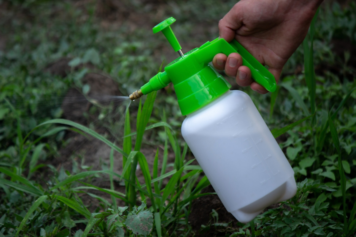 Woman's Simple At-home Mix Kills and Keeps Weeds Away - Dengarden News