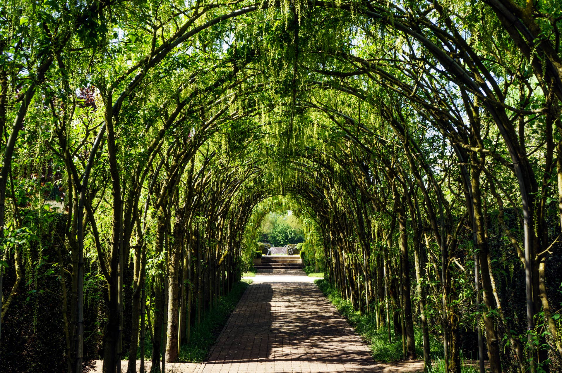 Woman Makes Pergola Out of Copper Pipes and Kiwi Plant to Create