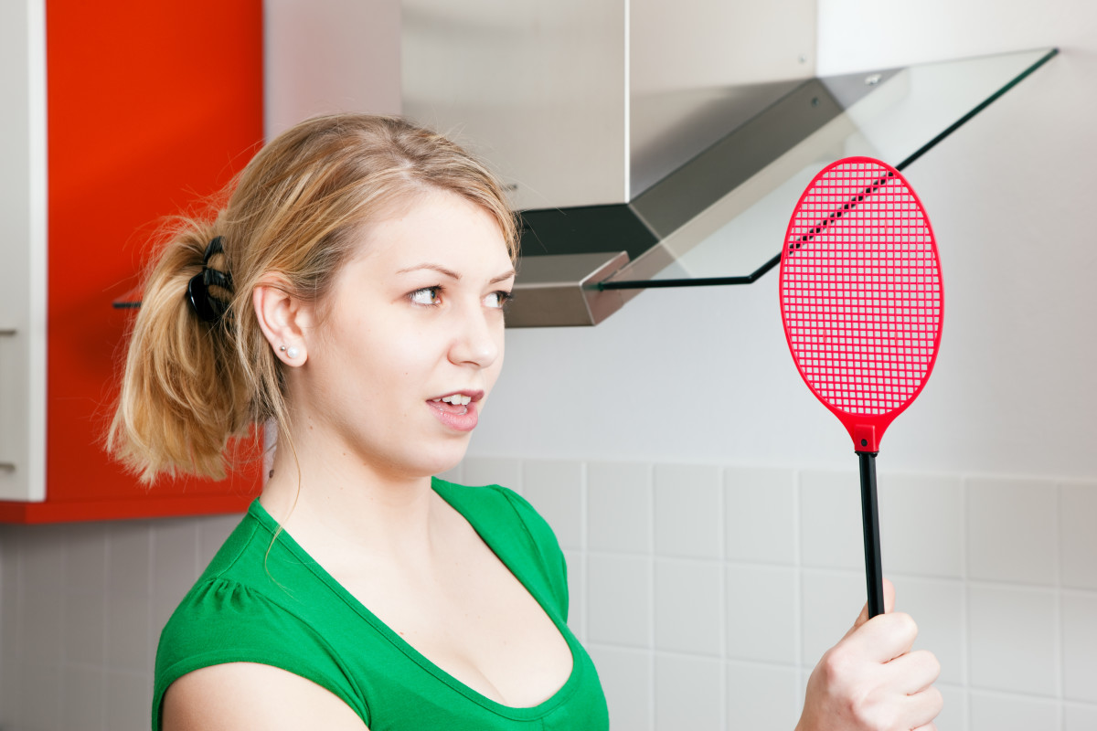 If You Have Gnats Around The House You Actually Need To Clean Your   Shutterstock 29335297 