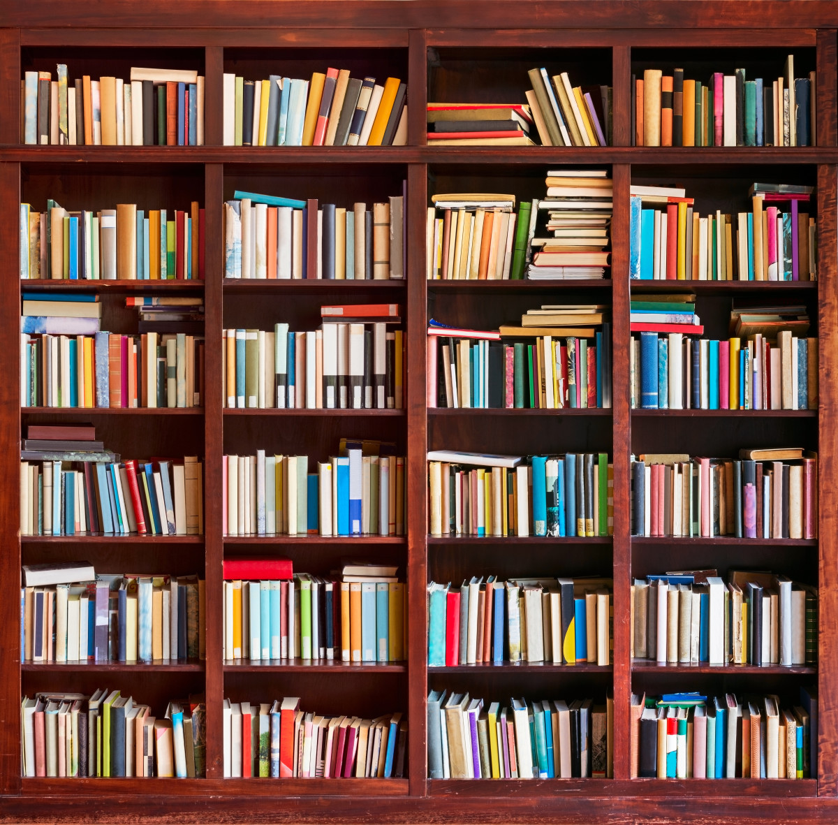 Woman Converts Closet into a Stunning Library - Dengarden