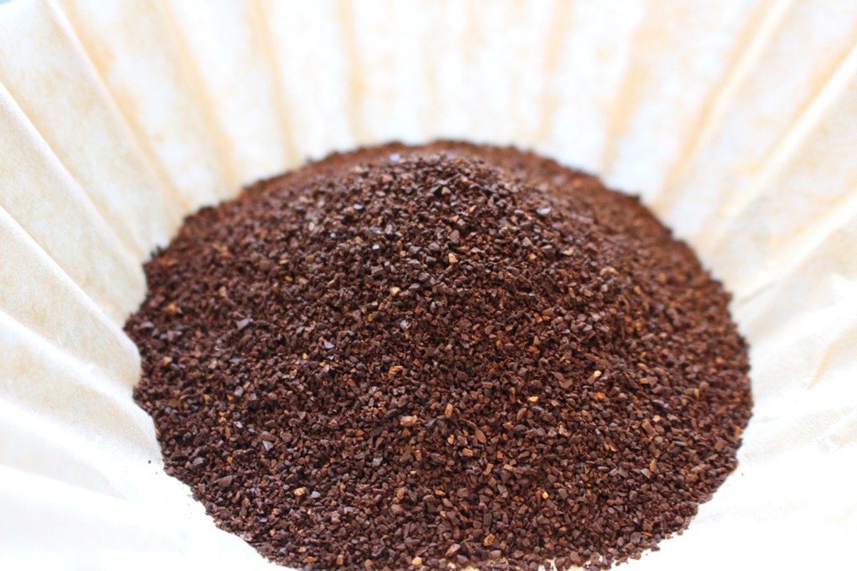Using Coffee Grounds for Plants (Plus 5 Additional Fertilizers) Dengarden
