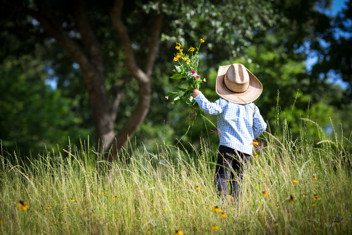 What Makes Nature So Special