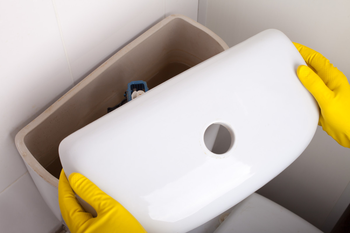 Woman Swears Adding This to Your Toilet Tank Will Keep the Bowl Fresh