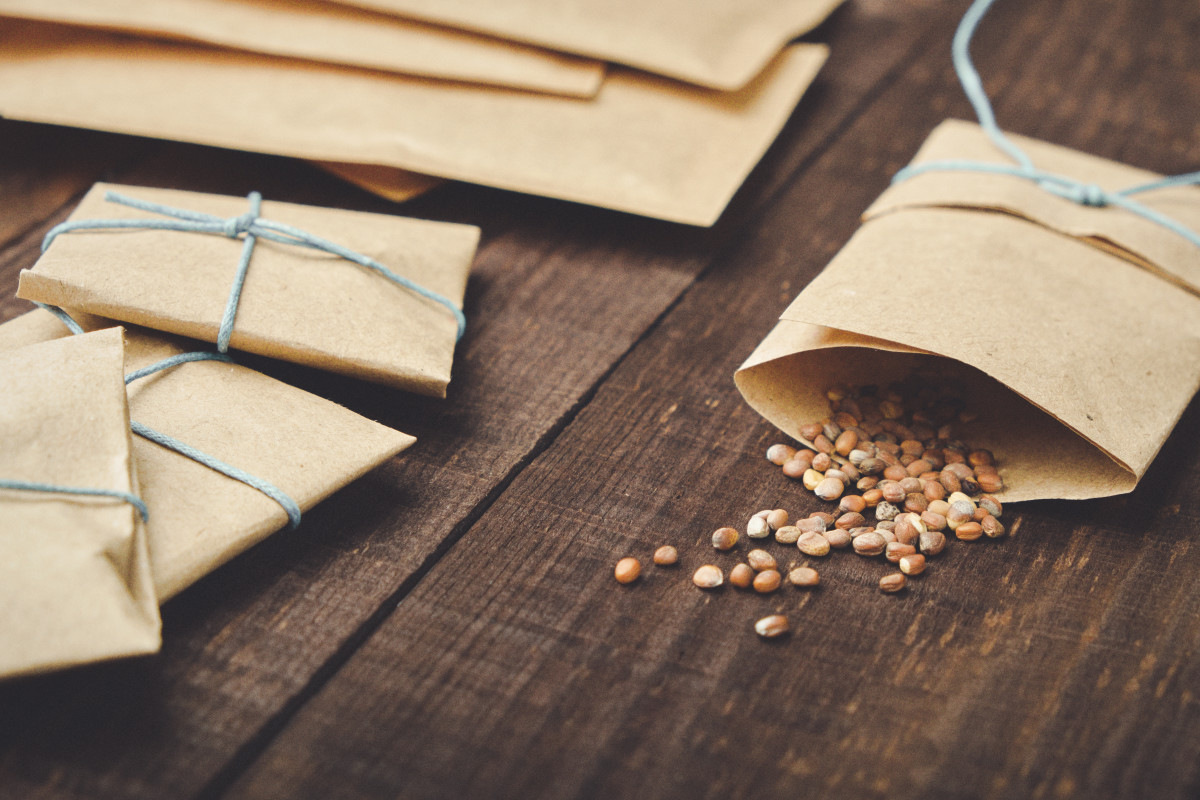 Gardner Explains “Seed Block”; A Better Way To Start Your Seeds