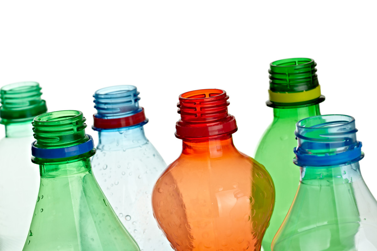 Woman Transforms Old Soda Bottle Into a Planter Dengarden News