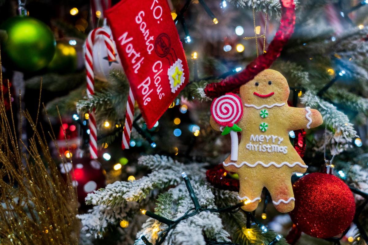 Mom Is Floored Over Son’s Holiday Candyland Decorations - Dengarden