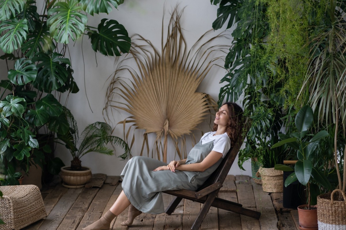 Costco Has Mega Stylish and Comfortable Eucalyptus Wooden Swing