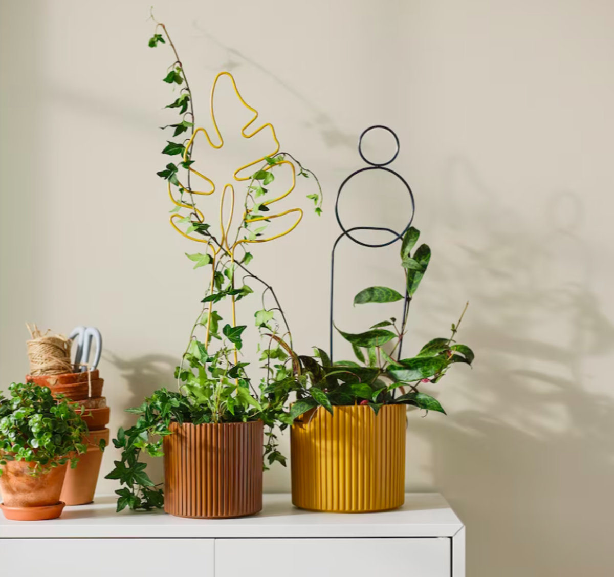 10 Products Just Perfect For Newbie Gardeners Dengarden News