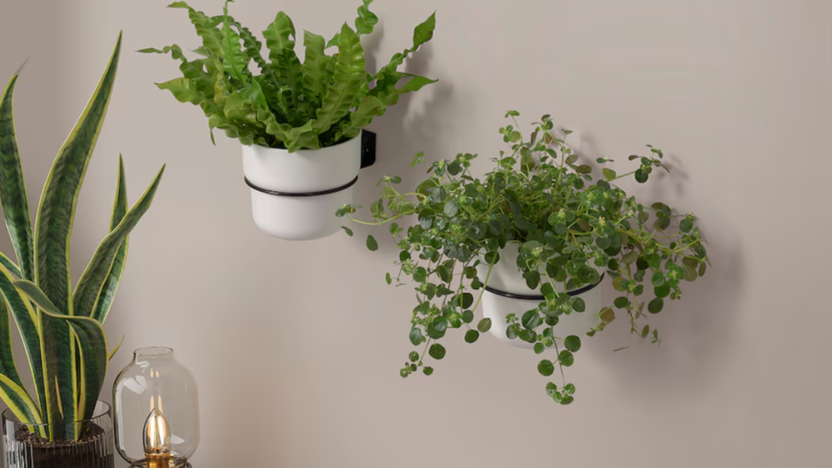 12 IKEA Items All Plant Parents Have to Have Dengarden News