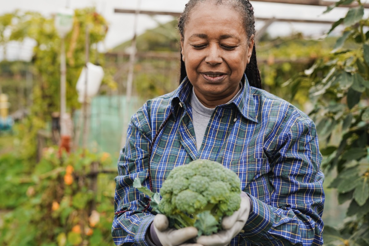 Here’s Why Broccoli Might Be the Best Plant For a Veggie Garden - Dengarden