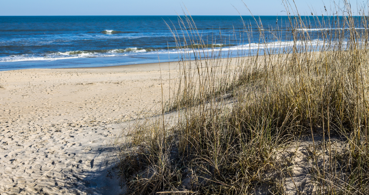 Here Are the Official 20 Toughest Places to Live With Allergies in 2024