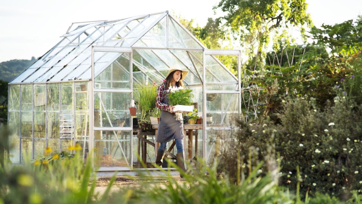 This DIY Pallet Greenhouse Is Easy to Make on a Budget Dengarden