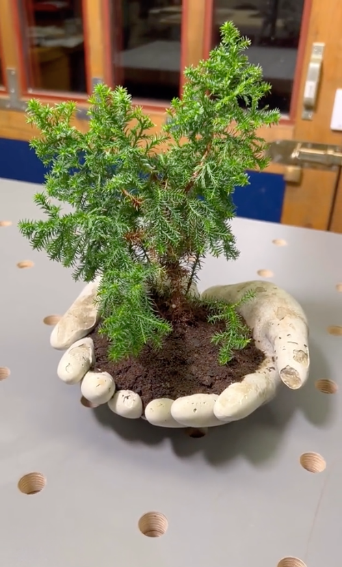 woodworker-diys-a-hand-shaped-concrete-planter-it-s-so-unique-dengarden