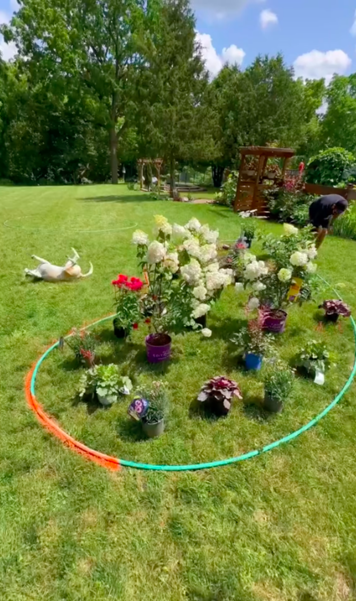 Gardener's Hose Hack for Drafting a New Landscape Is Genius
