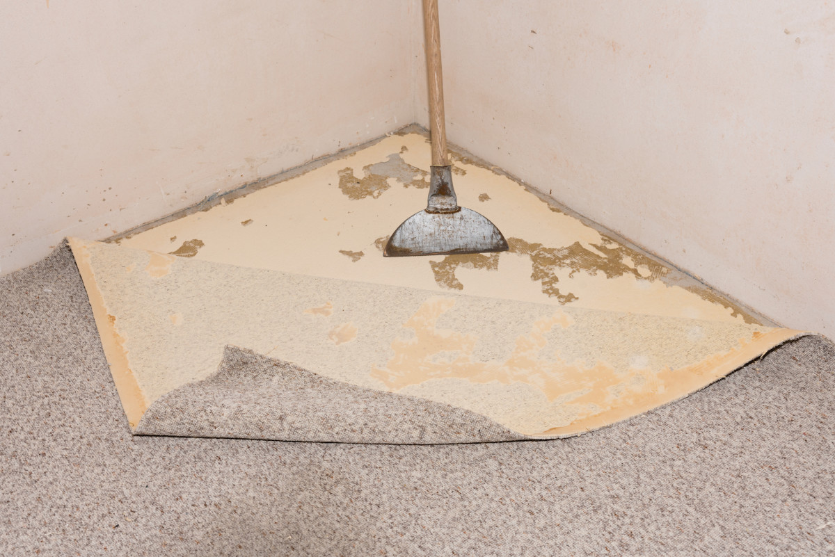 Here's How to Remove Carpet Glue the Right Way Dengarden