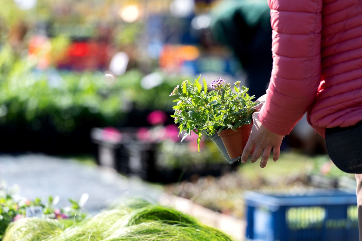 Home Depot's Massive Spring Sale Starts This Thursday Dengarden