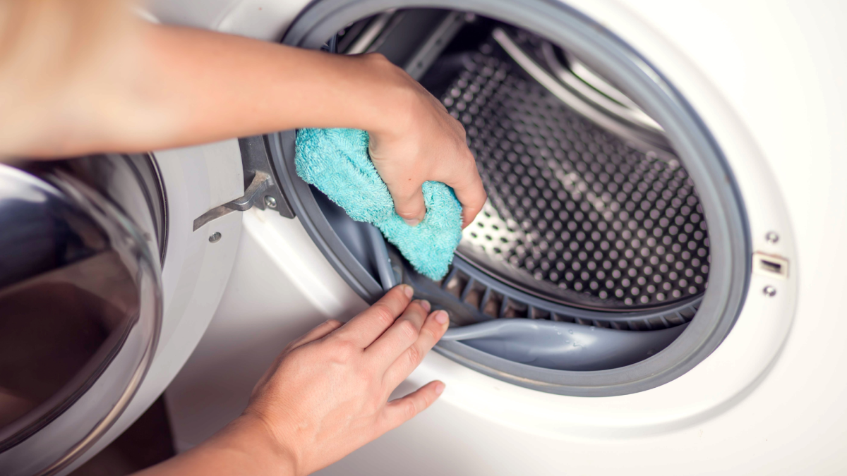 Professional Cleaner Shows the Simple Way to Clean a Front Load Washer ...