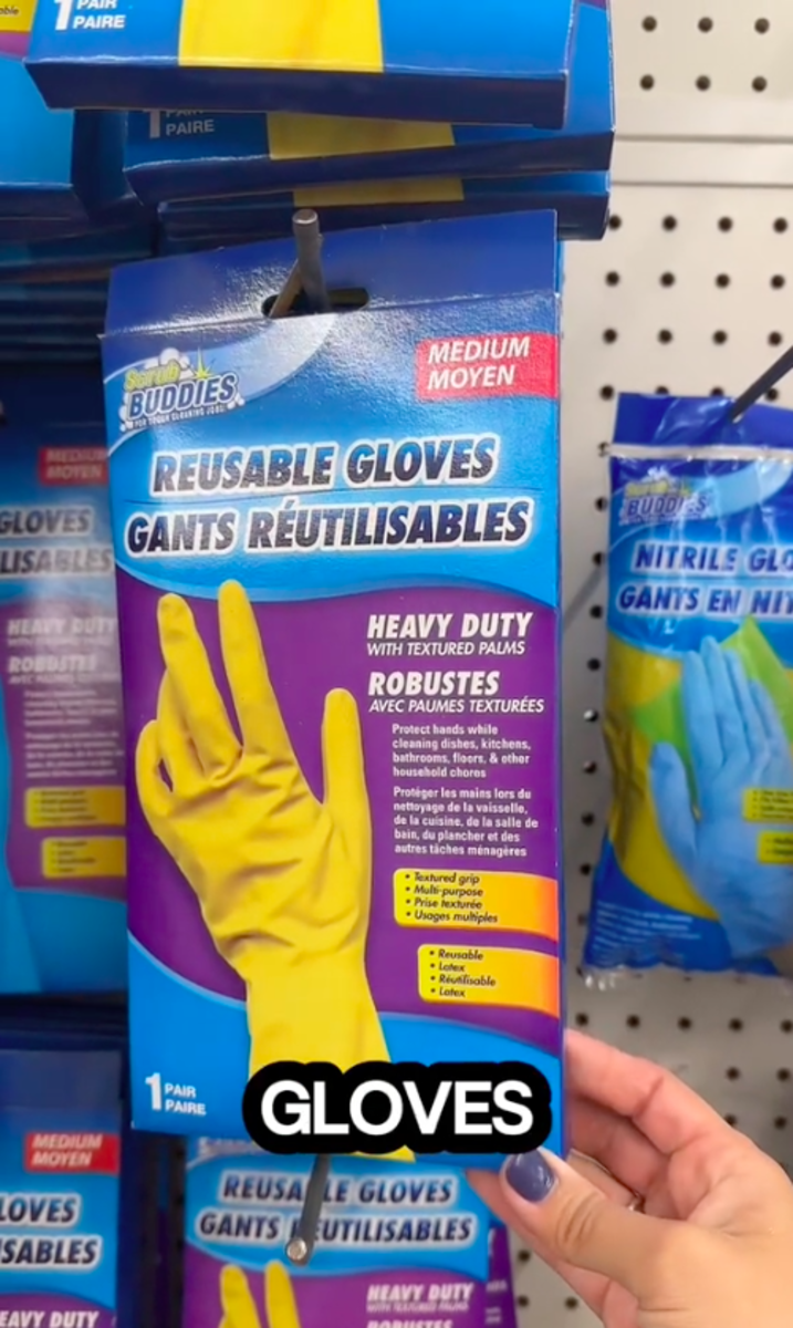 Housekeepers Swear By These 10 Dollar Tree Cleaning Supplies