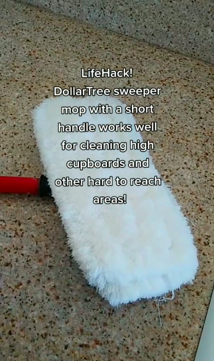 Housekeepers Swear By These 10 Dollar Tree Cleaning Supplies