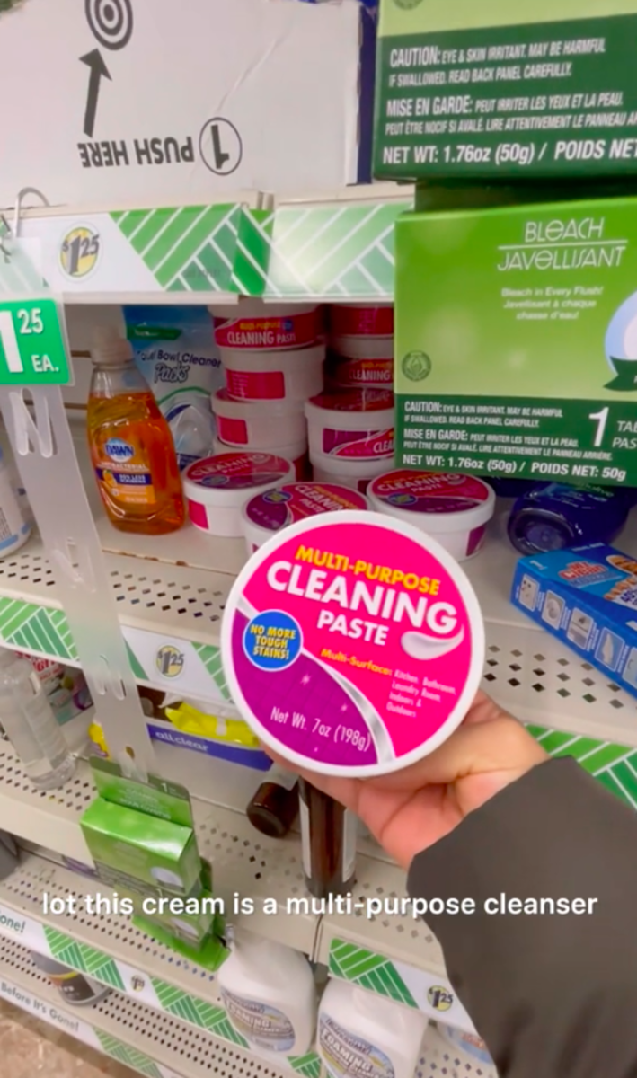 Housekeepers Swear By These 10 Dollar Tree Cleaning Supplies
