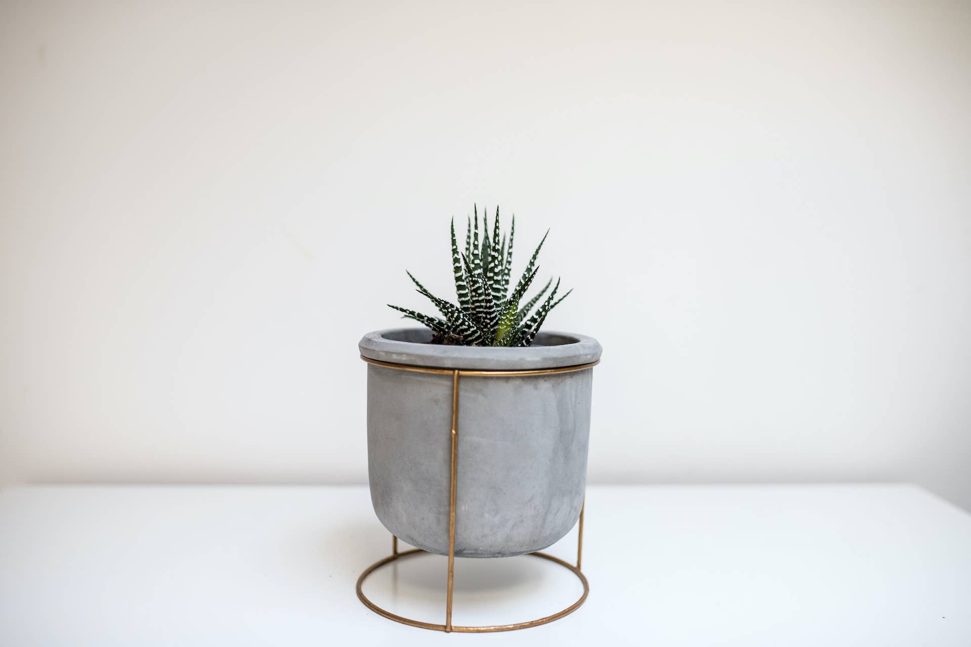 Woman Thrifts 'Ugly' Old Plant Stand and Turns It Into a Hollywood-Worthy Gem