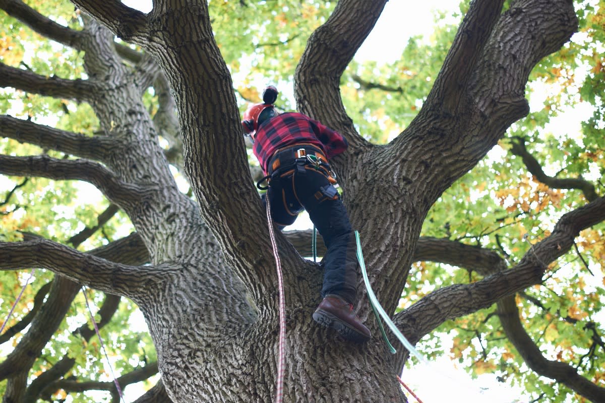 10 Common Yard and Garden Projects DIY’ers Say Are the Hardest Dengarden