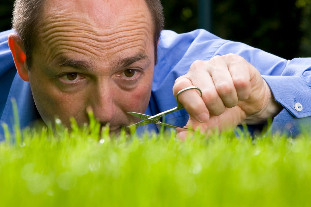 Garden Center Owner Reveals Sneaky' Reasons Lawns Don't Look As Good As ...