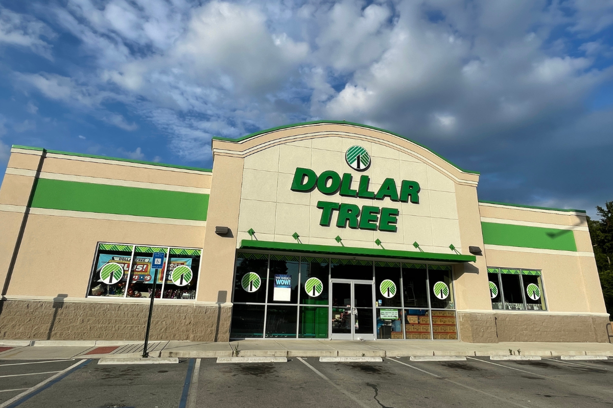 Dollar Tree Just Hopped on the Bogg Bag Dupe Train with Colorful