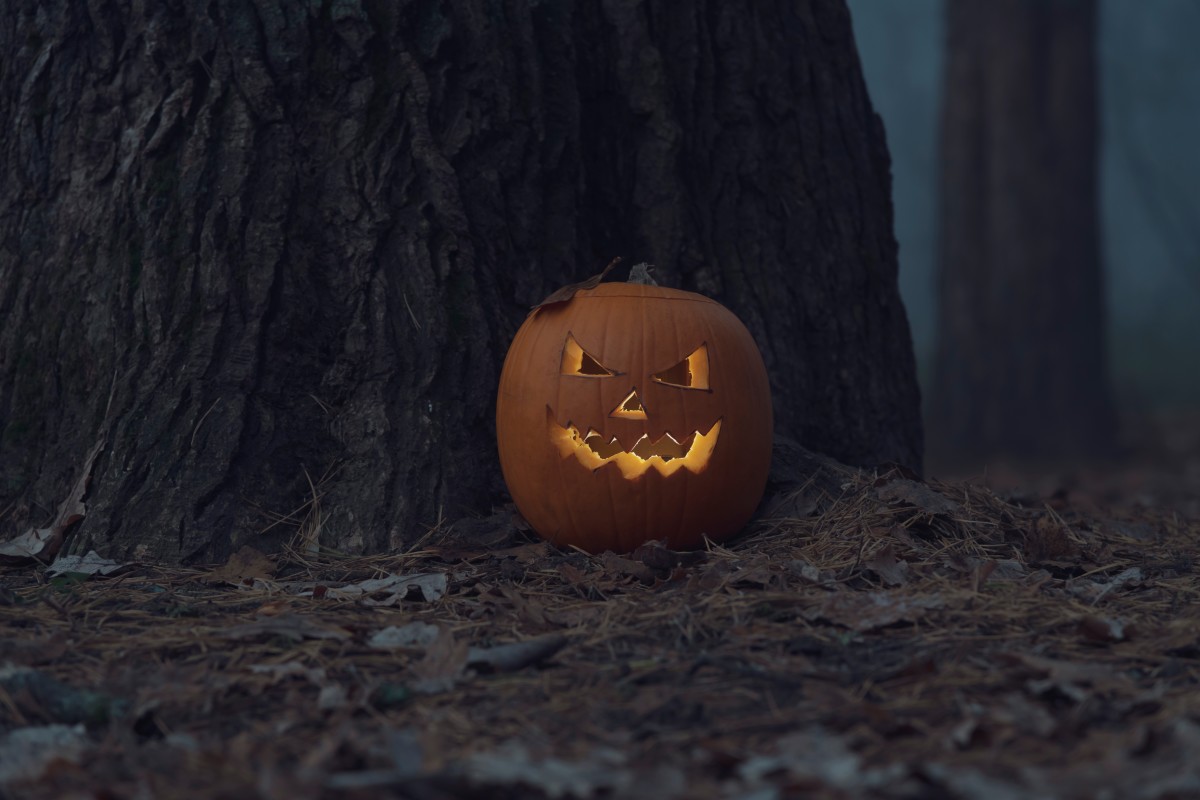 Woman Makes Affordable Terracotta Pumpkins Just Like Pottery Barn